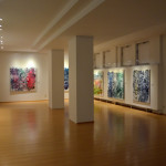 Pohled do instalace výstavy Martina Froulíka (foto: archiv galerie)