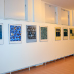 Pohled do instalace výstavy Eduarda Ovčáčka (foto: archiv galerie)