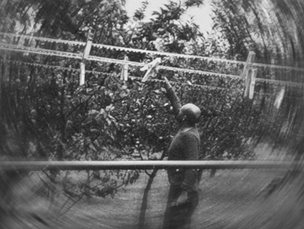 Setkání s výstavou Kristíny Mičové: Merkur 4160 AB